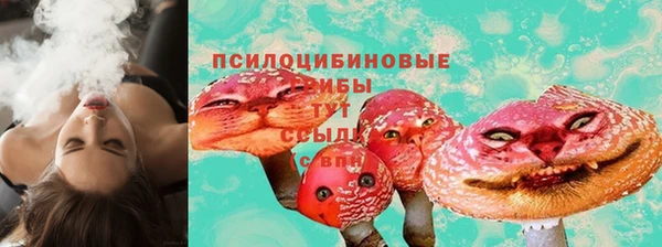 крисы Ладушкин