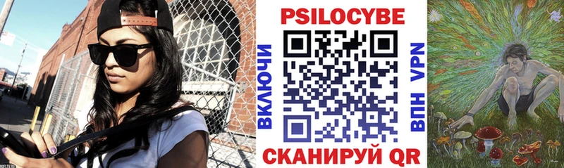 Псилоцибиновые грибы Psilocybine cubensis  Купить  Каменногорск 